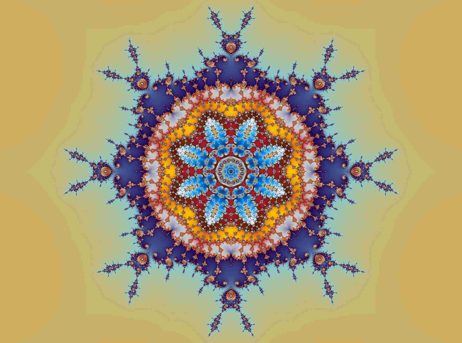 Kleine afmeting catologus