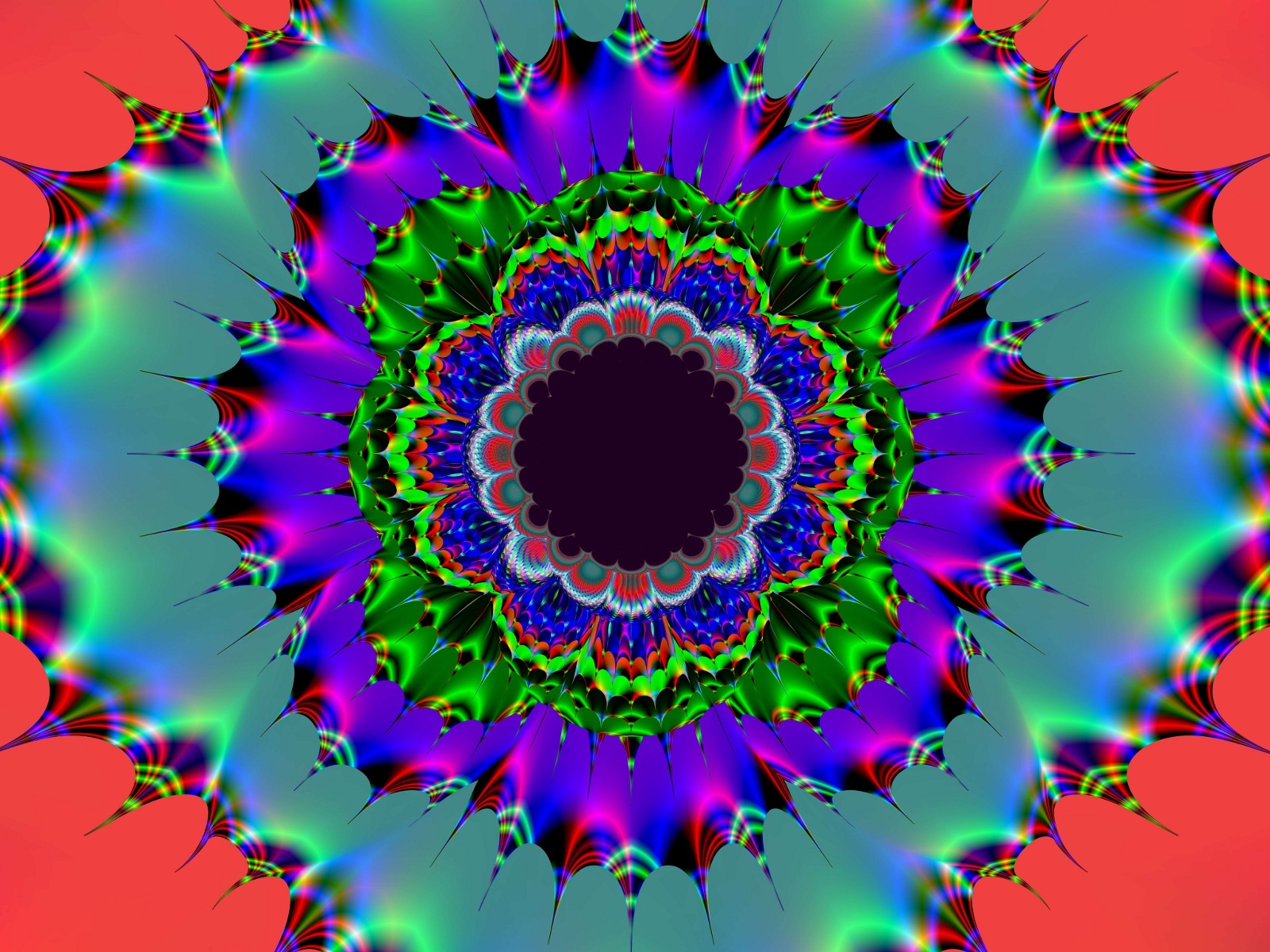 Kleine afbeelding voor catologus