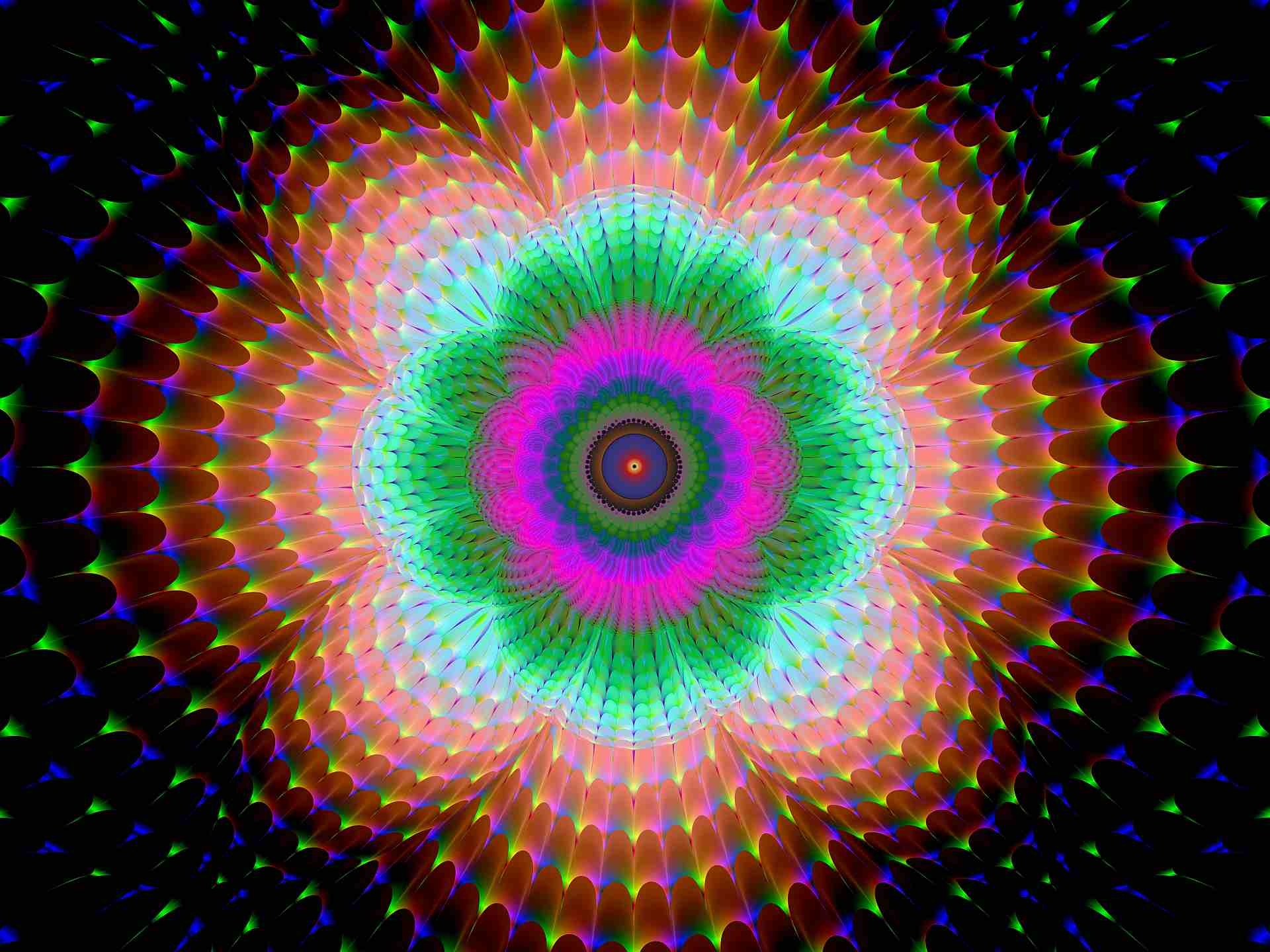 Kleine afb voor catologus